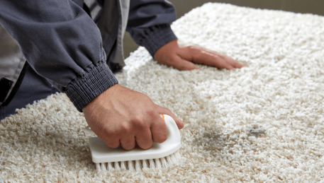 Professional Rug Cleaning Lysterfield